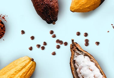 Cacao en nibs, polvo y entero para pepitoria en plano cenital